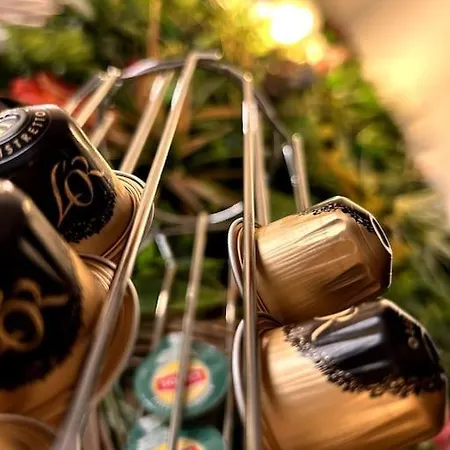 L'arene Des Plaisirs - * Nîmes