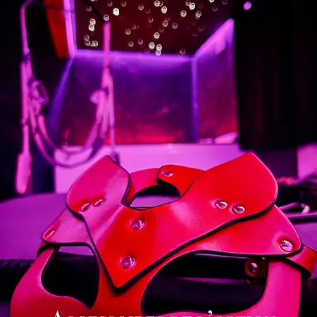 Daire L'arene Des Plaisirs - Nîmes